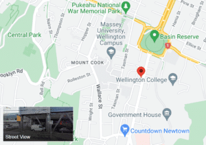 Pack & Send Wellington City Maps